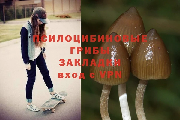 mdpv Шарыпово